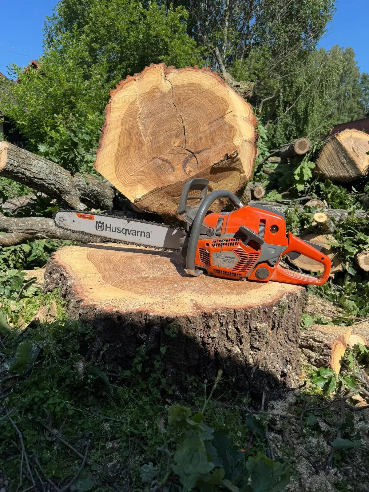 Trädfällning och stubbfräsning